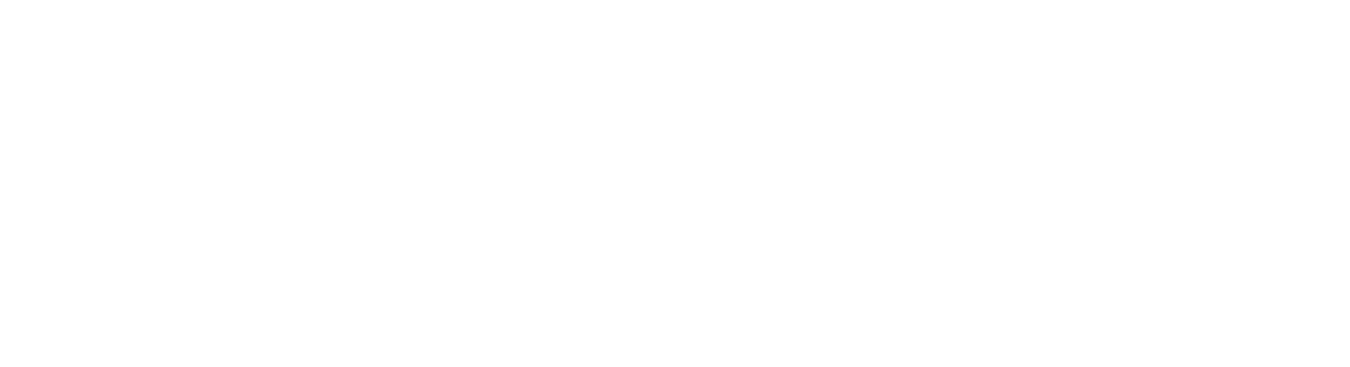 The Lilly Signature Store Ariba